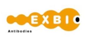 EXBIO.jpg