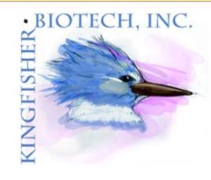 Kingfisher.jpg