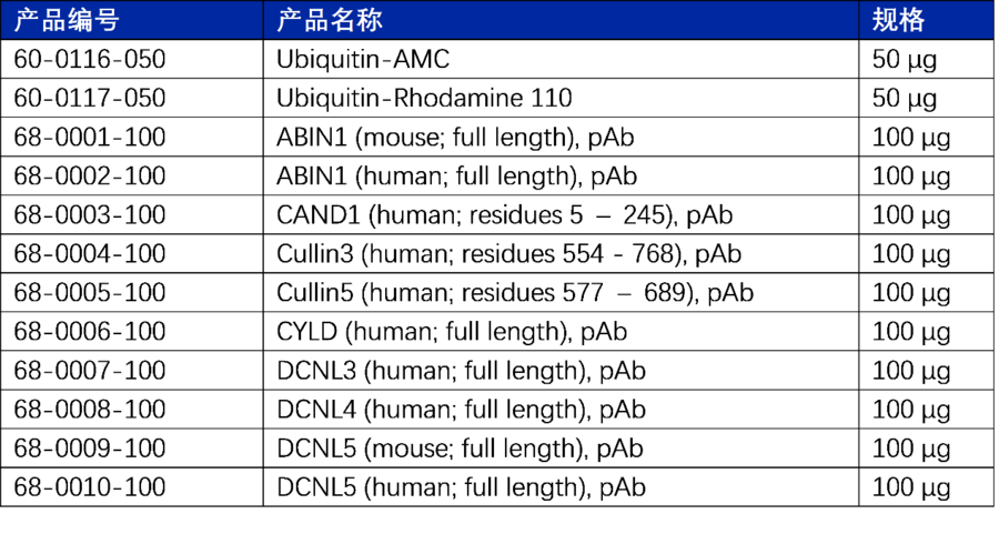 圖片2.png