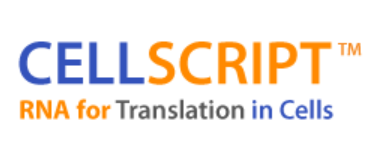 cellscript.png